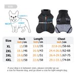 Personalised Cute Line Style Dog Pet Winter Windproof Jacket with Name Adoption Anniversary Birthday Gift for Pet Owners