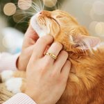 Anillo personalizado de plata de ley con huella piedra de nacimiento y nombre regalo de condolencia para dueños de gatos y perros