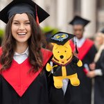 Personalized Classic Winnie the Pooh Graduation Bear Plush Toy with Name or School Badge Gifts for Grads