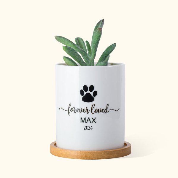 Personalised Pet Paw Memorial Ceramic Plant Pot with Wooden Base Pet Loss Sympathy Gift for Pet Lover