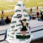 Personalized Cartoon Cheerleading Girl's Back Soft Hooded Blanket with Name and Team Name Game Day Senior Night Team Gift for Cheerleaders