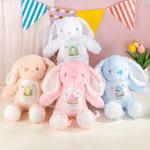 Personalised Butterfly Cute Rabbit Plush Easter Bunny Stuffed Toy with Initial and Name Easter Gift for Newborns Kids