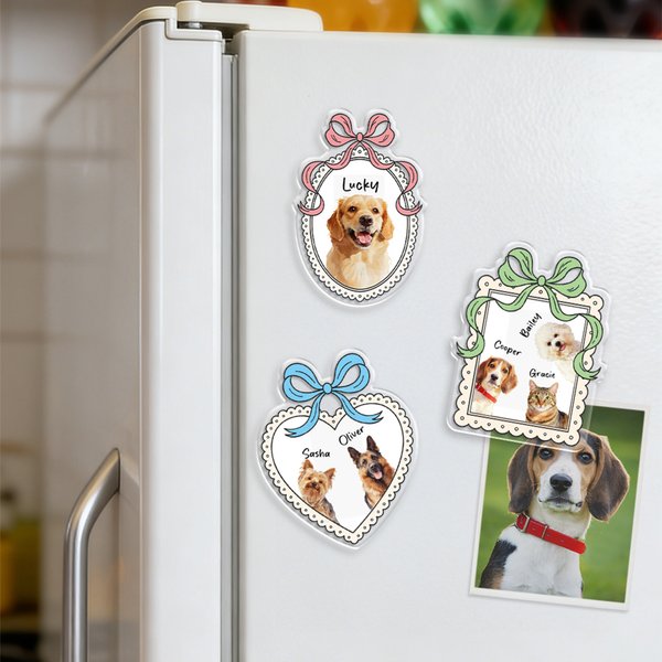 Personalisierte Aquarell 1-3 Haustier Fotos Bogen Rahmen Acryl Kühlschrank Magnet mit Namen Home Decor Haustier Party Geburtstag Geschenk für Tierbesitzer Liebhaber