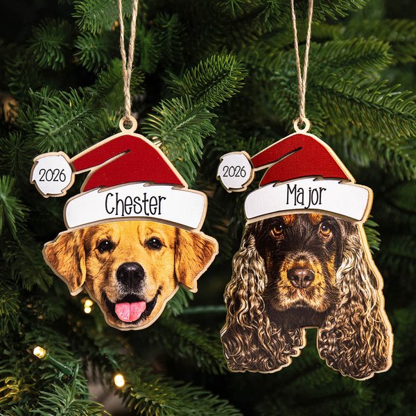 Personalised Santa Hat Dog Cat Pet Face Photo Wooden Christmas Ornament with Name Christmas Home Decor Gift for Pet Lovers