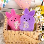 Personnalisé Mini Peter Rabbit Flower Butterfly Initial Plush Wallet Coin Purse with Name Easter Birthday Gift for Kids