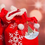 Personalized Cute Animal Baby's 1st Christmas Clear Acrylic Ornament with Name and Year Tree Decor Baby Shower Christmas Gift for Newborns