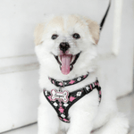 Personalized Glitter Bone Dog ID Tag with Name and Text Pet Birthday Adoption Anniversary Gift for Pet Owners Lovers