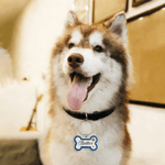 Personalized Glitter Bone Dog ID Tag with Name and Text Pet Birthday Adoption Anniversary Gift for Pet Owners Lovers