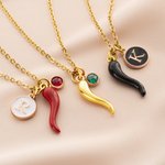 Collier personnalisé Cornicello Lucky Horn Charm Chili Pepper avec pierre de naissance et initiale Anniversary Birthday Gift for Italian Women Men