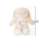 Personalized Cute Peter Rabbit Plush Easter Bunny Stuffed Toy with Initial and Name Easter Gift for Newborns Kids