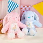 Personalized My First Easter Bunny Butterfly Stuffed Plush Bunny Toy with Name and Year Easter Birthday Gift for Kids