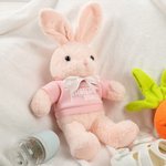 Personalised Baby's First Easter T-shirt Bow Bunny with Name and Year Plush Toy Home Decor Easter Birthday Baby Shower Gift for Boys Girls