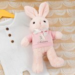 Personalized Cute T-shirt Bunny Plush Easter Bunny Stuffed Toy with Initial and Name Easter Gift for Newborns Kids