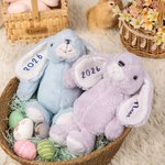 Peluche Lapin Personnalisée avec Année et Nom en Pailleté Cadeau d'Anniversaire de Pâques pour Enfant