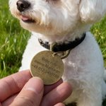 Personalisierte runde Retro Hundemarke aus Messing mit Namen und Text Geburtstag Geschenk für Tierbesitzer Tierliebhaber