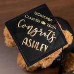 Personalized Cute Bachelor Cap Plush Teddy Bear Stuffed Toy with Name and School Badge Class of 2026 Graduation Gift for Kids Graduates