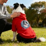 Personalised Funny Face Photo Dog Hoodie with Name Outdoor Travel Birthday Gift for Pet Lovers Pet Owners
