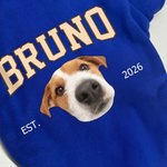 Personalized Funny Face Photo Soft Dog Hoodie with Name and Year Pet Supplies Dog Birthday Gift for Dog Owners Lovers