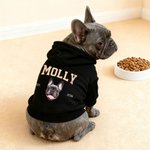 Personalized Funny Face Photo Soft Dog Hoodie with Name and Year Pet Supplies Dog Birthday Gift for Dog Owners Lovers