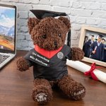 Personalisierter Niedlicher Absolventenhut Plüsch Teddybär mit Namen und Uni-Wappen Schule Abschluss Geschenk für Kinder Absolventen der Klasse 2026