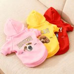 Personalized Funny Face Photo Soft Dog Hoodie with Name and Year Pet Supplies Dog Birthday Gift for Dog Owners Lovers