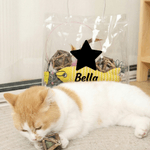 Personalized Paw Heart Design Transparent Bag and 9 Interactive Cat Toys Set with Name Pet Day Birthday Gift for Cat Lovers Owners