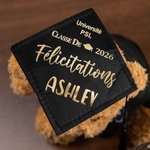 Ours en Peluche Personnalisé avec Nom et Badge d’École Cadeau de Fin d’Études pour Amis Cadeau Fin d’Études pour Amis Maternelle ou Université