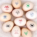 Personalised Hen Silhouette  Egg Safe Egg Stamp with Name Food Grade Ink and Wooden Box Birthday Easter Gift for Family Farmer Breeder