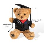 Ours en Peluche Personnalisé avec Nom et Badge d’École Cadeau de Fin d’Études pour Amis Cadeau Fin d’Études pour Amis Maternelle ou Université