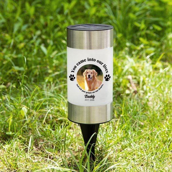 Lámpara solar de jardín personalizada You Came into Our Lives Dog Cat Photo Paw Print con nombre y año Decoración de jardín Regalo de condolencia por la pérdida de una mascota