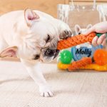 Personalized 3D Cartoon Dog Name Set of 6 Dog Toy with Bit-Resistant Chew Toy Interactive Rope Pet Birthday Adoption Gift for Dog Owners