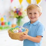 Personalized Cute Bunny Chick Multicolour Plastic Hanging Easter Egg Ornaments with Name Pack of 12 Pcs Home Outside Decor Easter Gift for Kids Family