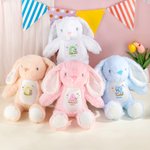 Personalisierte Schmetterling niedlichen Kaninchen Plüsch Ostern Hase Plüschtier mit Initialen und Namen Ostern Geschenk für Neugeborene Kinder