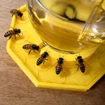 Station d'hydratation personnalisée multicolore imprimée en 3D avec texte Décoration de jardin Cadeau d'anniversaire pour les amoureux du jardinage