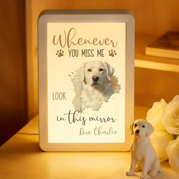 Personalized Whenever You Miss Me Look in This LED Photo Frame Mirror with Name Memorial Sympathy Gift for Pet Owners