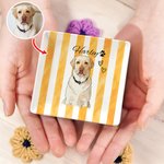 Plato de cerámica personalizado con nombre, decoración de hogar, regalo conmemorativo de cumpleaños para los amantes de las mascotas.