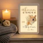Personalized Whenever You Miss Me Look in This LED Photo Frame Mirror with Name Memorial Sympathy Gift for Pet Owners