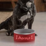 Personalizado de grado alimenticio de acero inoxidable 32 oz grabado Dog Bowl plato de agua con el nombre antideslizante Pet Feeding Suministros Regalo para Pet Lovers
