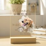 Personalized Watercolor Pet Photo Acrylic LED Night Light with Name and Wooden Base Home Decor Sympathy Gift for Pet Owner