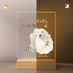Personalized Watercolor Pet Photo Acrylic LED Night Light with Name and Wooden Base Home Decor Sympathy Gift for Pet Owner