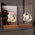 Personalized Watercolor Pet Photo Acrylic LED Night Light with Name and Wooden Base Home Decor Sympathy Gift for Pet Owner