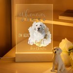 Personalized Watercolor Pet Photo Acrylic LED Night Light with Name and Wooden Base Home Decor Sympathy Gift for Pet Owner