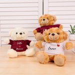 Personoitu söpö täytetty sydänkarhu t-paita tai huppari nimikirjolla täydellinen ystävänpäivä ja vuosipäivälahja parille valokuvausrekvisiittana