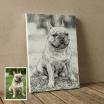 Portrait d'animal de compagnie personnalisé, style croquis, peinture sur toile avec nom Cadeau commémoratif pour les propriétaires d'animaux de compagnie