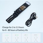 Personalized Vintage Book Floral Dragon LED Rechargeable Light Clip with Name Reading Accessory Daily Use Birthday Gift for Dragon Book Lovers