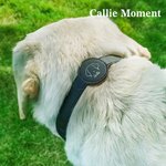 Callie Moment Personalized Line Style Dog Cat Pet Collar with Air Tag Holder and Name Outdoor Accessories Pet Party Birthday Gift for Pet Owners