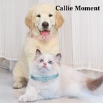 Callie Moment Personalized Line Style Dog Cat Pet Collar with Air Tag Holder and Name Outdoor Accessories Pet Party Birthday Gift for Pet Owners