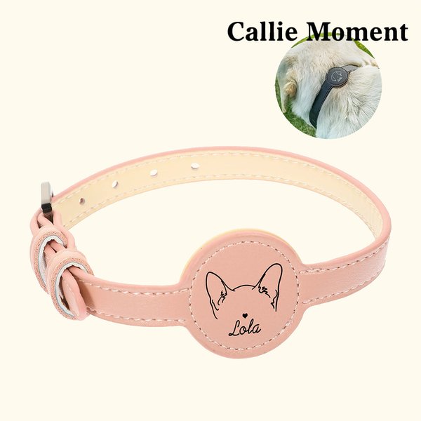 Callie Moment Personalized Line Style Dog Cat Pet Collar with Air Tag Holder and Name Outdoor Accessories Pet Party Birthday Gift for Pet Owners