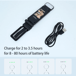 Personalizzato Vintage Book Cartoon Ricaricabile 3 colori LED Light Clip con nome Uso quotidiano Regalo di compleanno per studenti topi di biblioteca