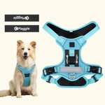 Personalized Heart Bone Fish Signage Pet Chest Harness with Name Outdoor Activities Birthday Gift for Pet Owners